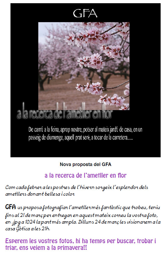 A la recerca de l'atmeller en flor. Grup Foto Argentona