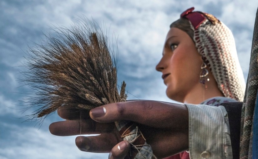 Gegants i Besties de&nbsp;Foc