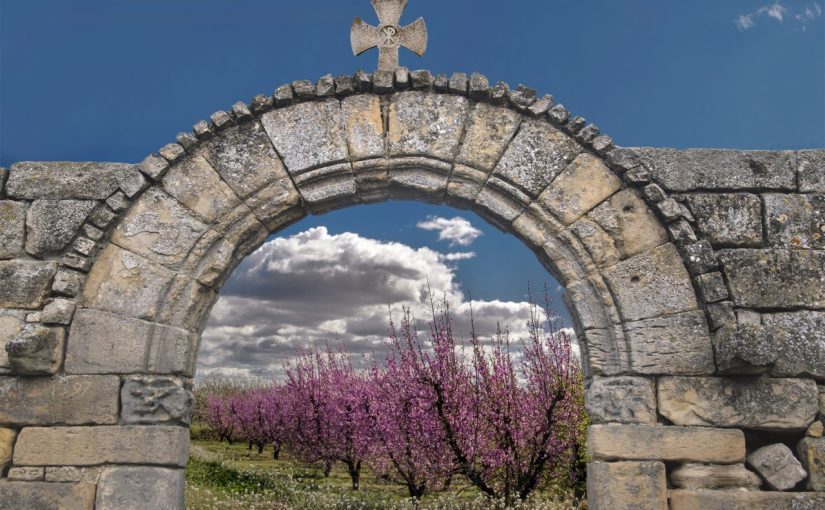 Sortida Fotogràfica als Camps de&nbsp;Presseguers